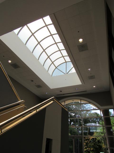 IMG_9970.JPG